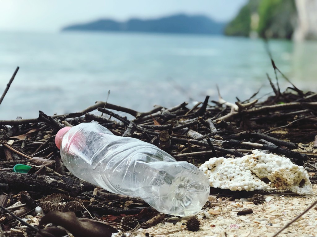 Beach litter study finds rise in polystyrene foam, balloons and fishing nets